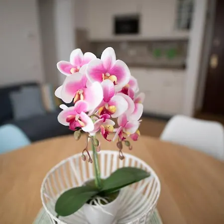 Magellano Apartment *